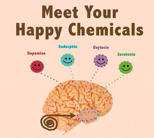 Hacking The Happy Chemicals - Dopamine, Serotonin, Oxytocin and Endorphins