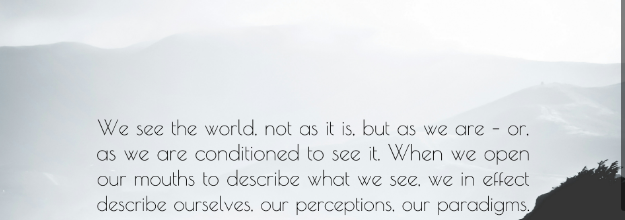 The World Is Not What We See, It Is the Way We See