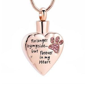 No Longer by My Side but Forever in My Heart Cremation Jewelry for Ashes Stainless Steel Pet Paw Keepsake Memorial Urn Necklace