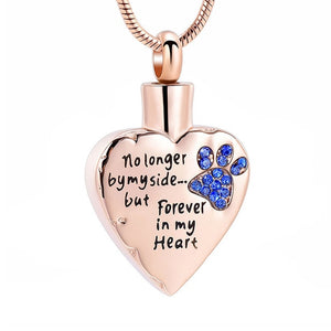 No Longer by My Side but Forever in My Heart Cremation Jewelry for Ashes Stainless Steel Pet Paw Keepsake Memorial Urn Necklace