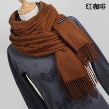 Hot sale Scarf Pashmina Cashmere Scarf Wrap Shawl Winter Scarf Women's Scarves Tassel Long Blanket Cachecol High Quality YR001 - 64 Corp