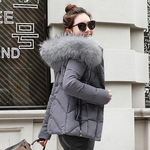 Winter Jacket Women Parkas for Coat Fashion Female Down Jacket With a Hood Large Faux Fur Collar Coat 2018 Autumn high quality